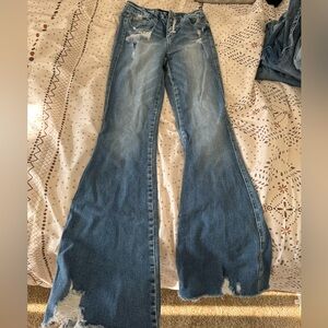 Flying Monkey High Rise Flare Jeans